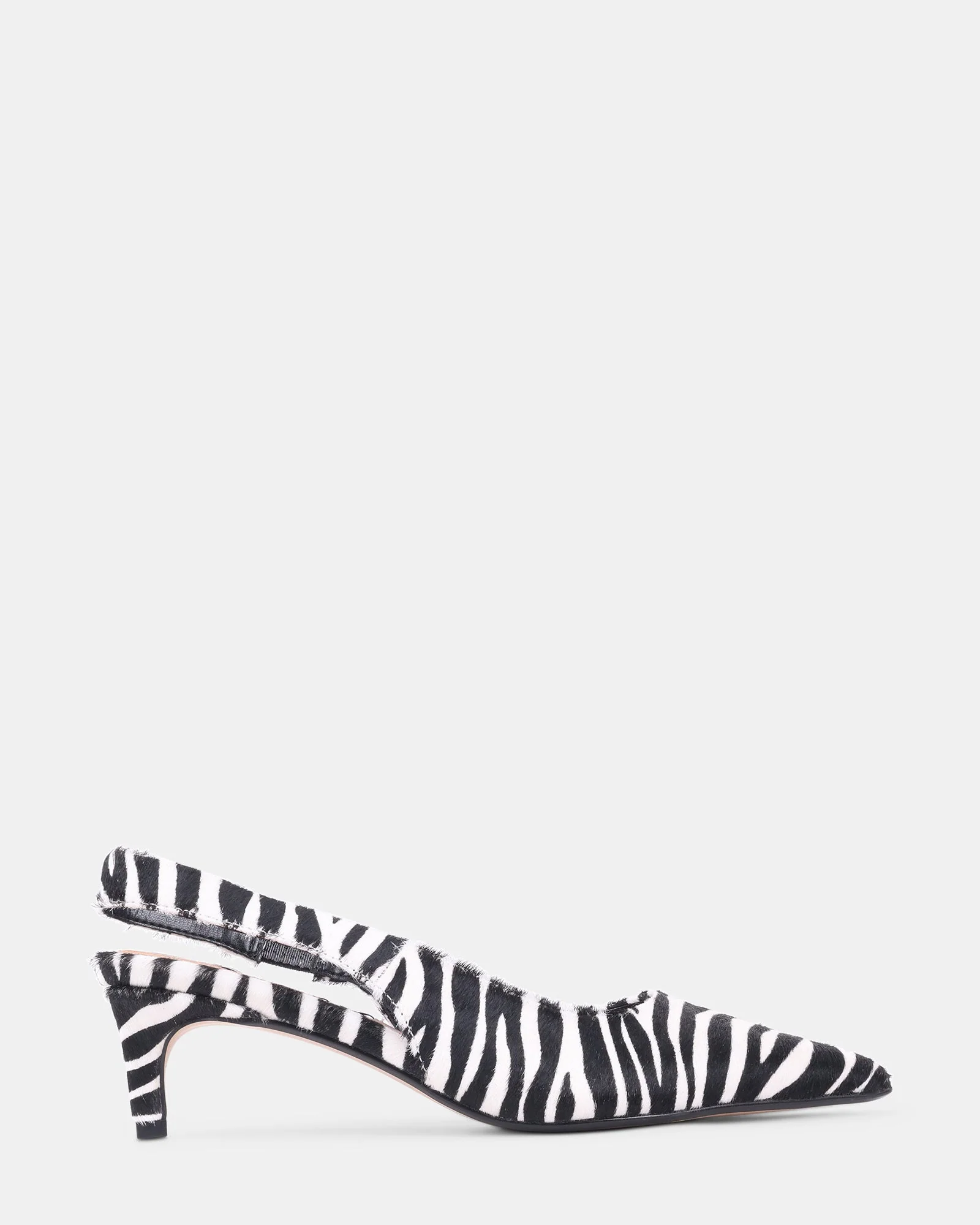 CARMEN ZEBRA