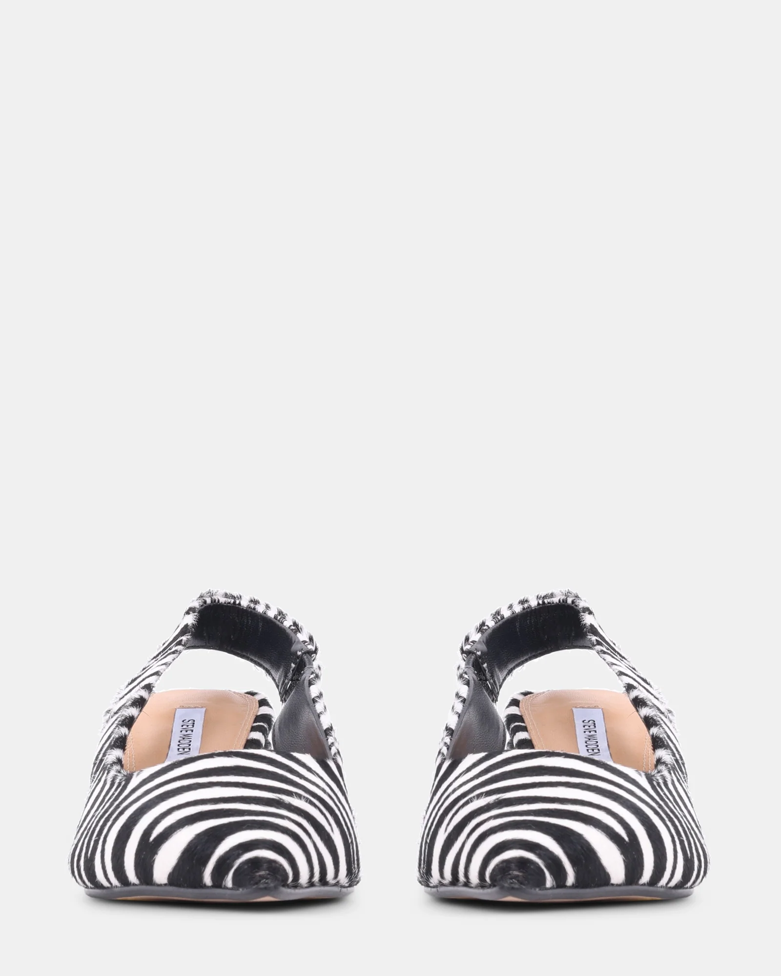 CARMEN ZEBRA - Image 3