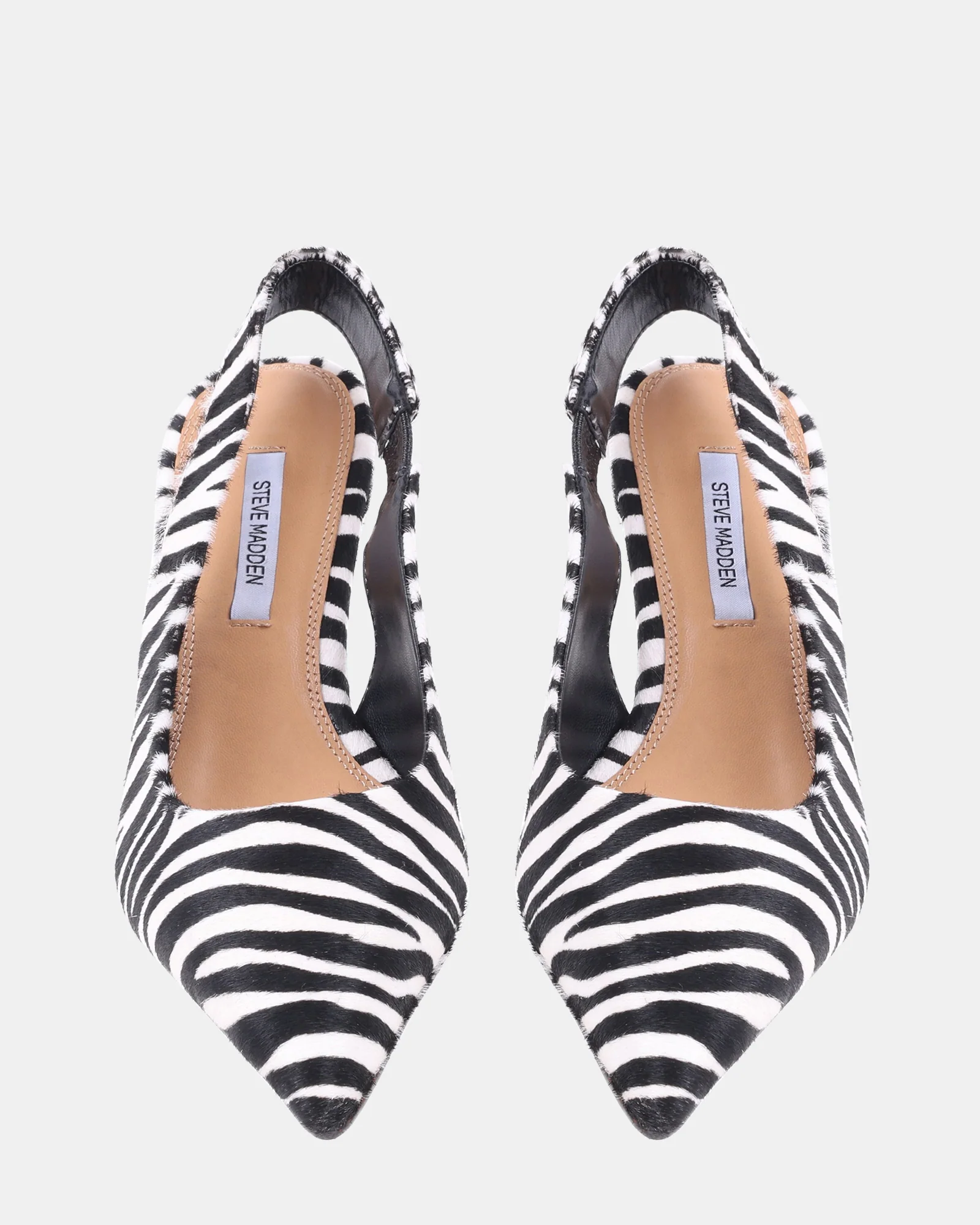 CARMEN ZEBRA - Image 4