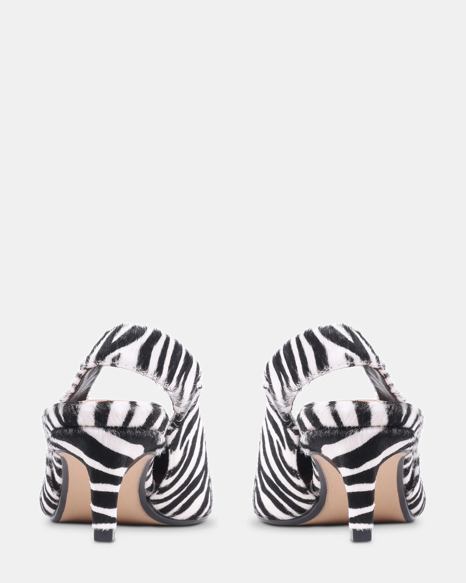 CARMEN ZEBRA - Image 5