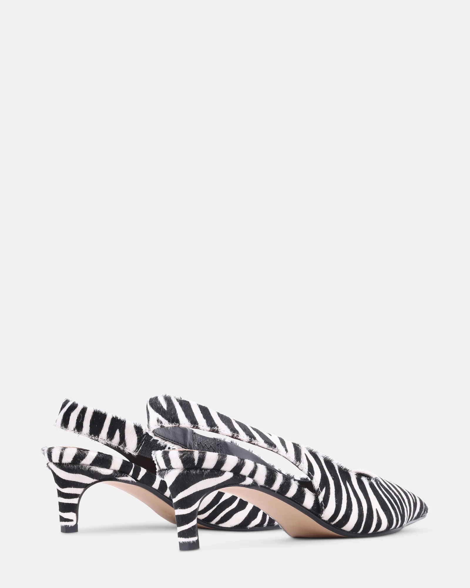 CARMEN ZEBRA - Image 6
