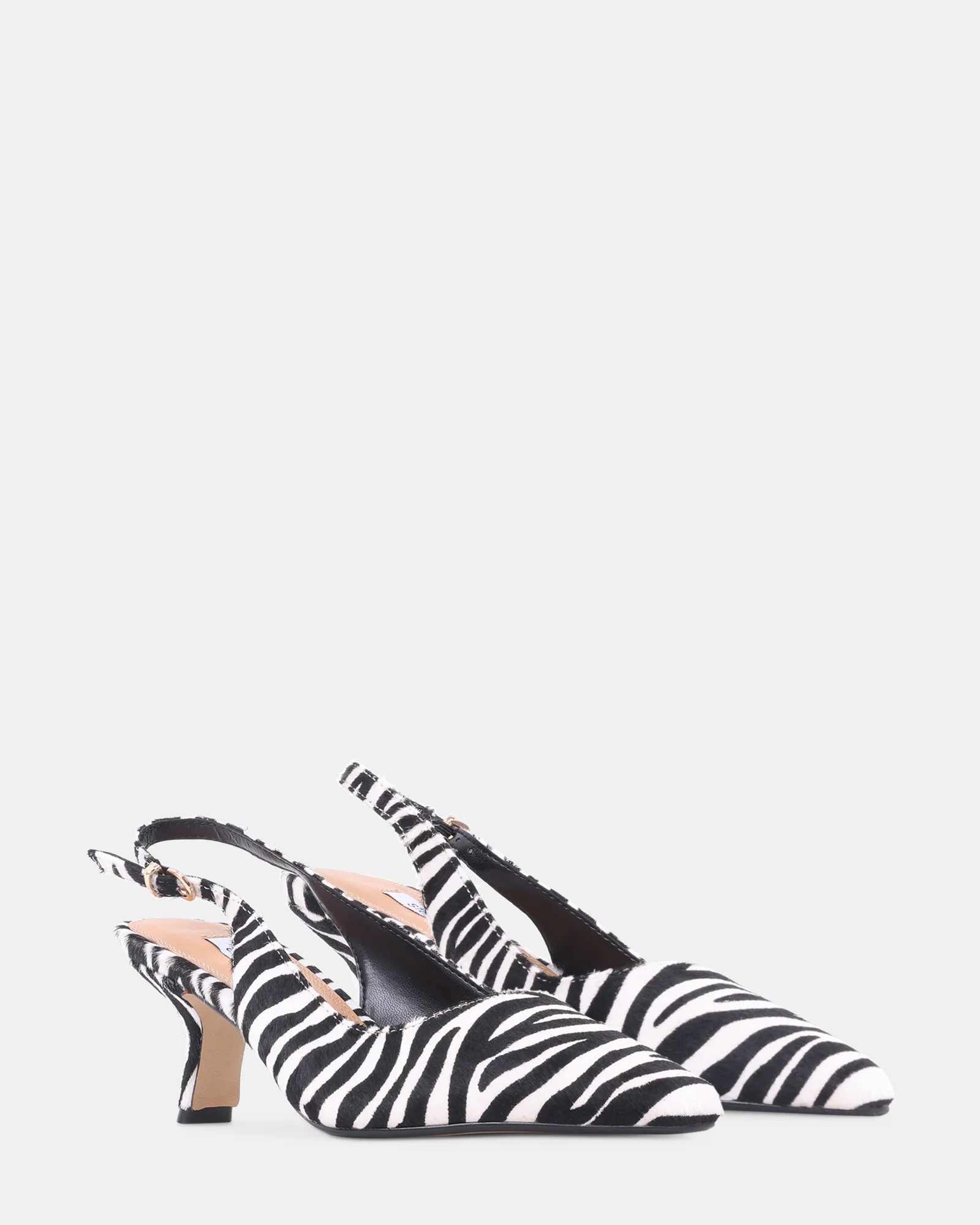 CHARMING ZEBRA - Image 3