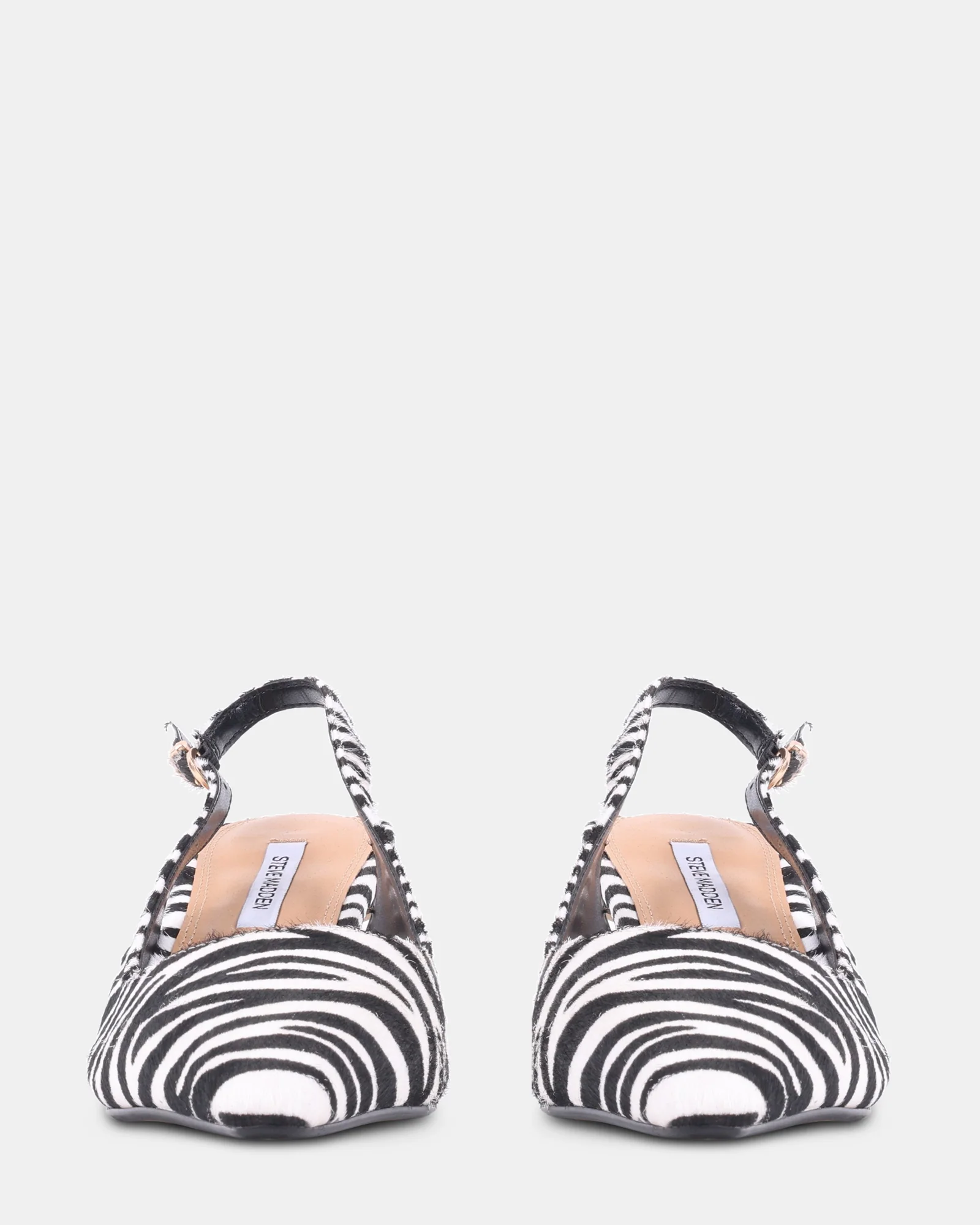 CHARMING ZEBRA - Image 4